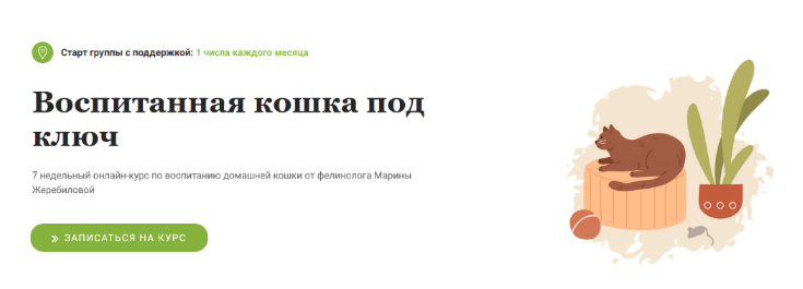 [Марина Жеребилова] Воспитанная кошка под ключ (20_0.png